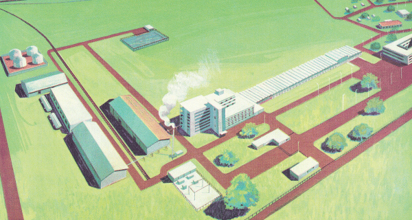 Swadeshi Polytex Limited