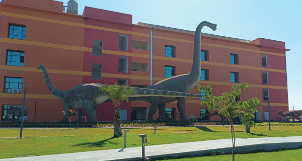 The Regional Science Museum