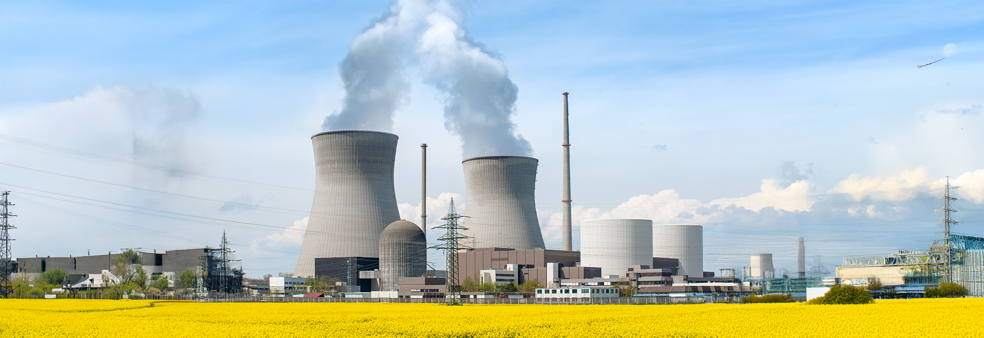 Rajasthan Atomic Power Project – Units 1 and 2