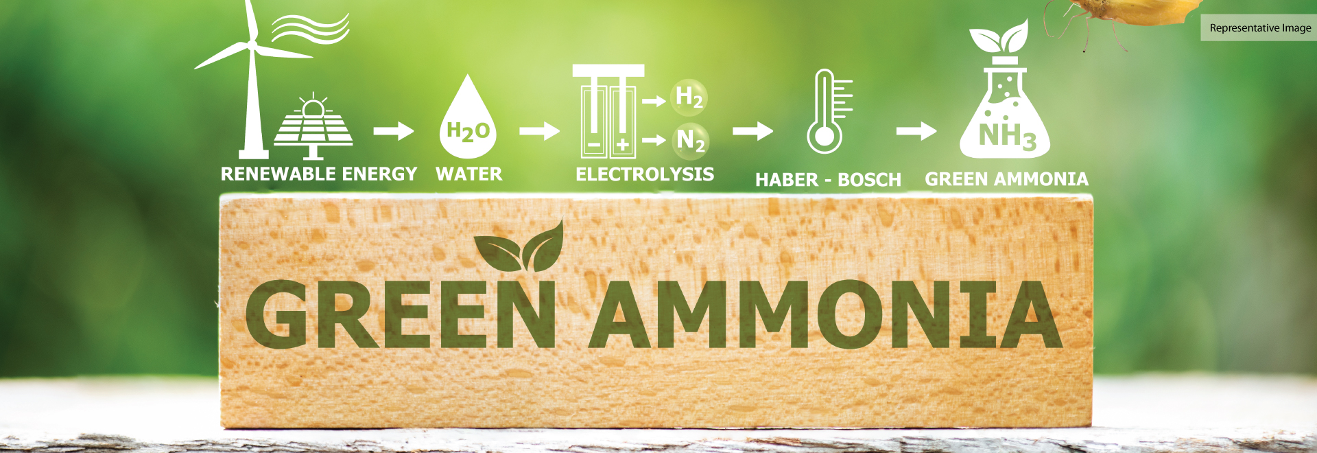 Green Ammonia Production Facility