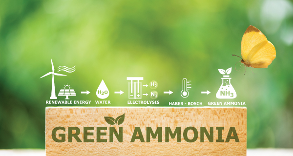 Green Ammonia Production Facility