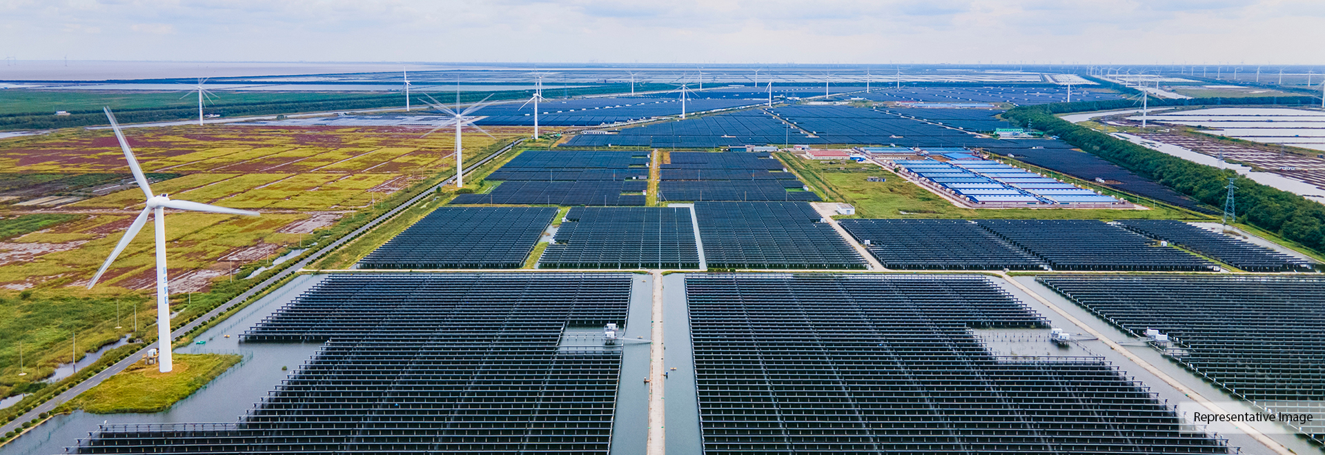 50 MW Solar Photovoltaic Development