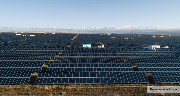 600 MW Solar Photovoltaic Development