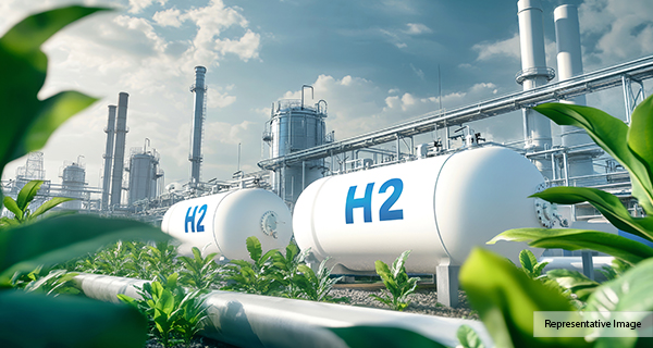 Green Hydrogen and Ammonia Production